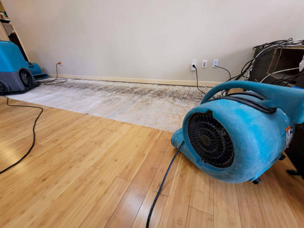 Professional Water Removal technician working in Evans, GA